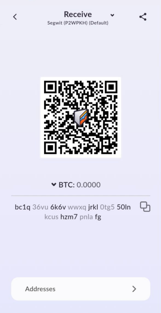 What Does a Bitcoin Address Look Like? Cake Wallet What Does a Bitcoin Address Look Like? Cake Wallet